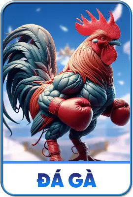 FLY88 | Nhà Cái FLY88 Uy Tín Top🥇| Link Vào FLY88.COM T2/2026 6 FLY88 Đá Gà